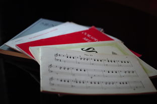 探索传统养生课程,学习内容与实践方法