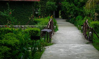 巴马长寿村,康复疗养的理想之地