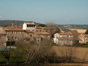广西巴马长寿村的气候特点及其对养生的影响