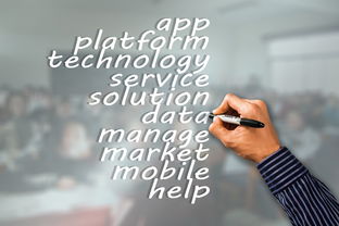 养生之道,探索中医养生的奥秘与实践